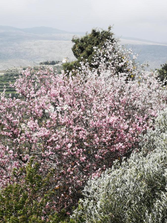 Villa Casa Opuntia Pappaygiannades Esterno foto