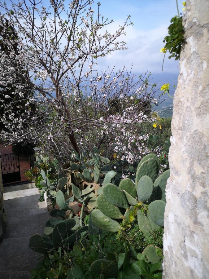 Villa Casa Opuntia Pappaygiannades Esterno foto