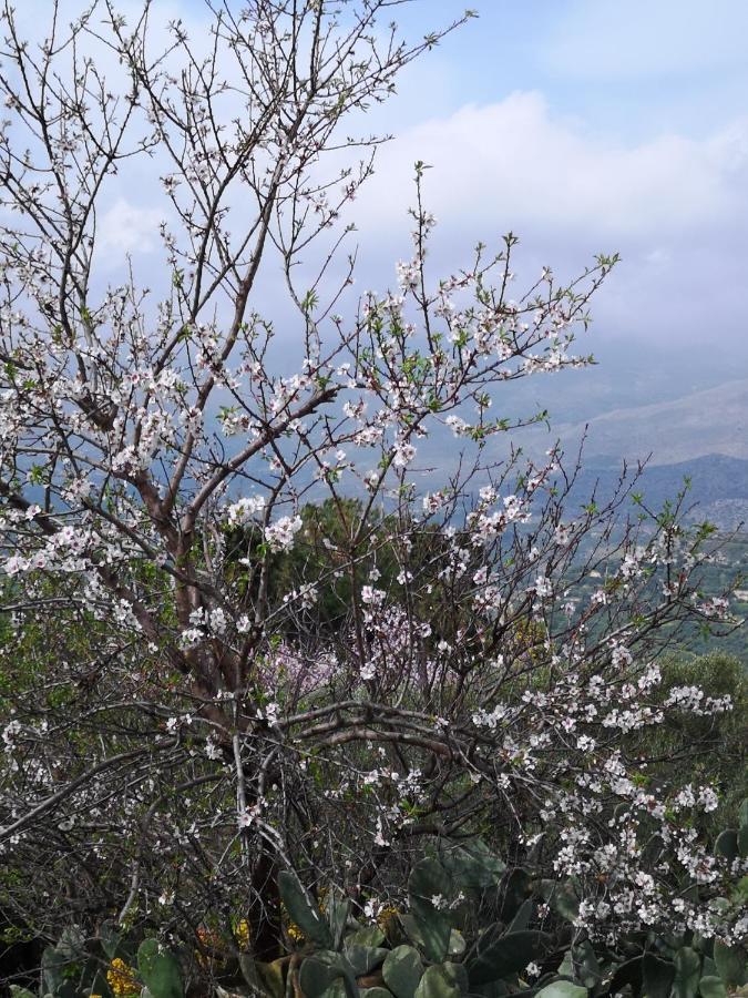 Villa Casa Opuntia Pappaygiannades Esterno foto